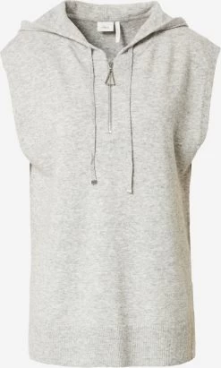 S.Oliver BLACK LABEL Pulls à Capuche Pull-over Femme Gris Clair